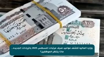 وزارة المالية تكشف مواعيد صرف مرتبات أغسطس 2025 بالزيادات الجديدة.. ماذا ينتظر الموظفين؟